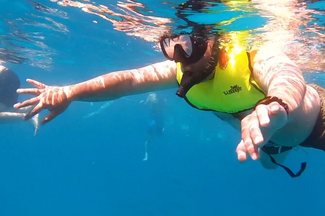 Waikiki Turtle Snorkeling Tour - Waikiki Turtle Snorkeling Tour: Discover Hawaii’s Marine Life in Style