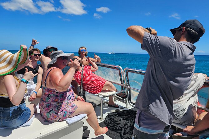 Waikiki Turtle Snorkeling Tour - Whale Watching During Whale Season