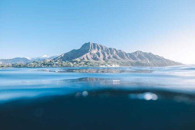 Waikiki Whale Watch & Cultural Stories: Sightings Guaranteed - Wildlife Encounters: Whales, Dolphins, and Sea Turtles