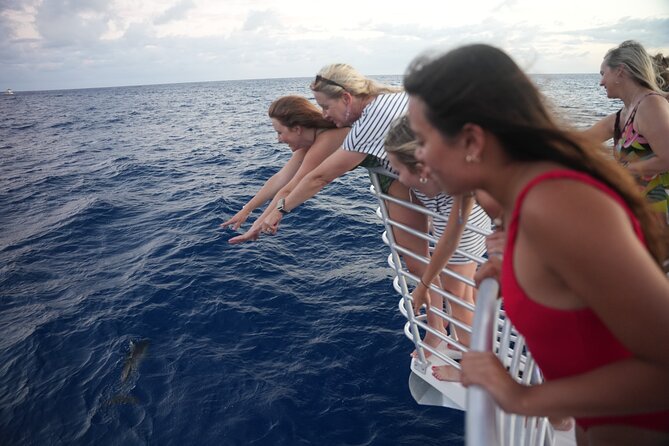 Waikiki Whale Watch & Cultural Stories: Sightings Guaranteed - Flexibility and Cancellation Policy