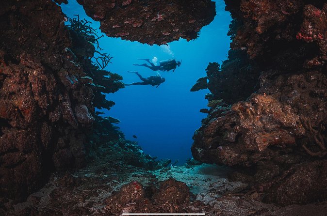 Waikikis Best Wreck And Reef Dive - Included Equipment and Snacks