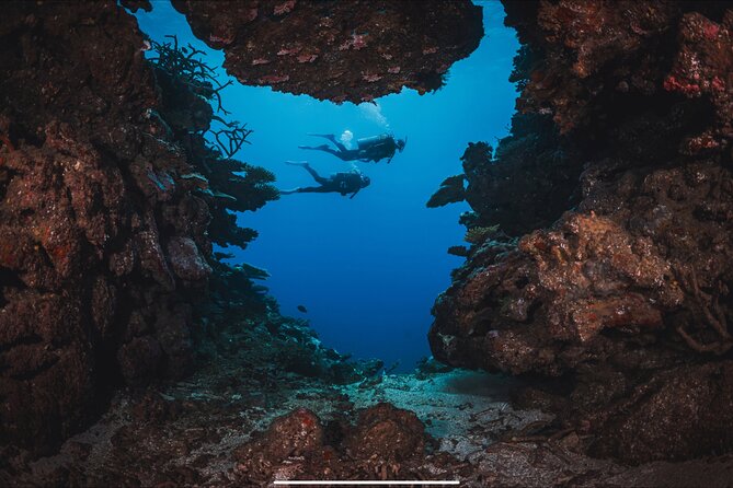 Waikikis Best Wreck And Reef Dive - What the Tour Does Not Include