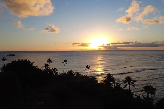 Waikk Fireworks Night Paddle  Clear Kayak Tour (Fridays Only) - The Marine Environment at Ala Moana Beach Park