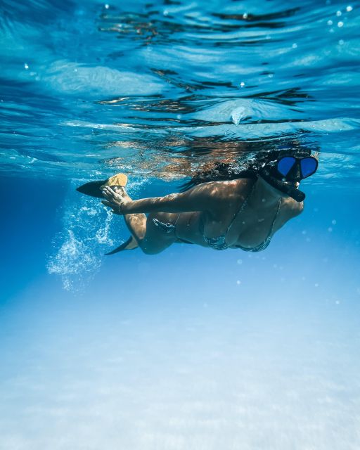 Wailea: Turtle Town Snorkeling Trip with Photo and Video - Physical Requirements and Suitability