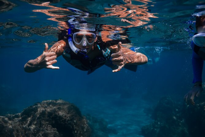 Wailea Wildlife Tour with Snorkeling - Scenic Coastal Drive Past Maui’s Beaches and Lava Coastlines