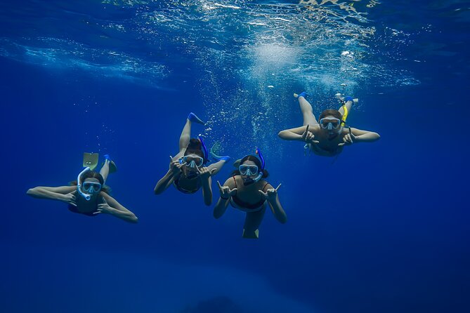 Wailea Wildlife Tour with Snorkeling - The Guides and Their Approach to Tour Delivery