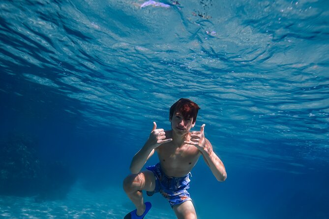 Wailea Wildlife Tour with Snorkeling - Physical Requirements and Accessibility