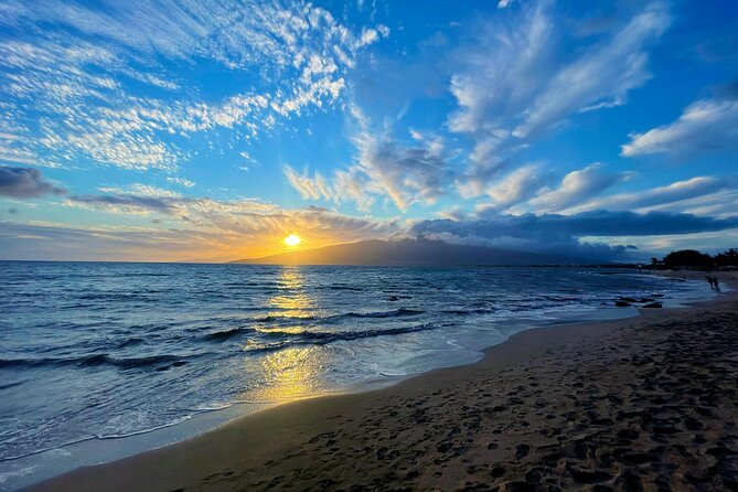 Wailea Wildlife Tour with Snorkeling - Wailea Wildlife Tour with Snorkeling: Who Will Enjoy It Most?