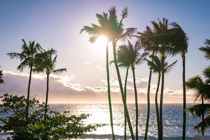 Wailele Luau Including Fire and Knife Performance Plus Dinner - Traditional Hawaiian Performances and Cultural Stories