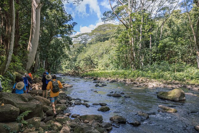 Wailua River: Kayak & Secret Waterfall Adventure - Lunch and Refreshments: A Picnic in Paradise