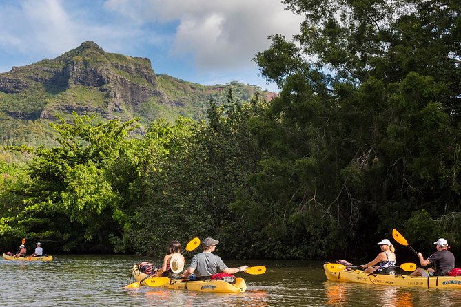 Wailua River Paddle - Paddling with Expert Guides