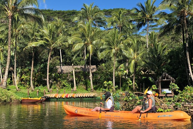 Wailua River & Waterfalls Kayak Tour: Expert-Guided Adventure - Expert-Guided Nature and Cultural Insights