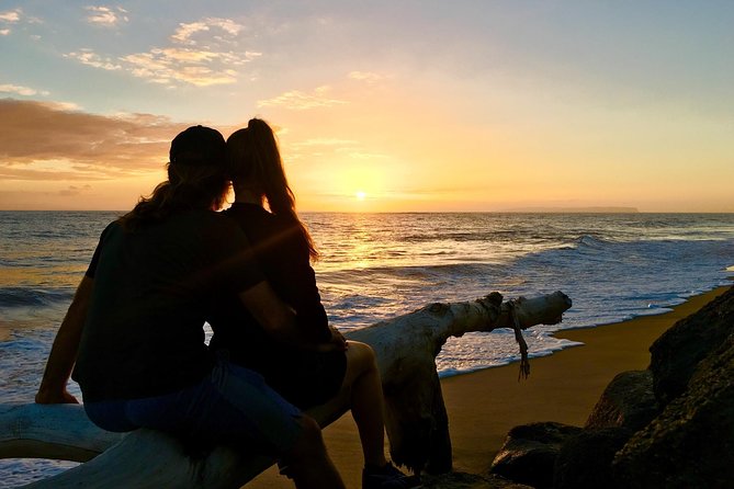 Waimea Canyon Downhill Bike Ride - Group Size and Biking Experience