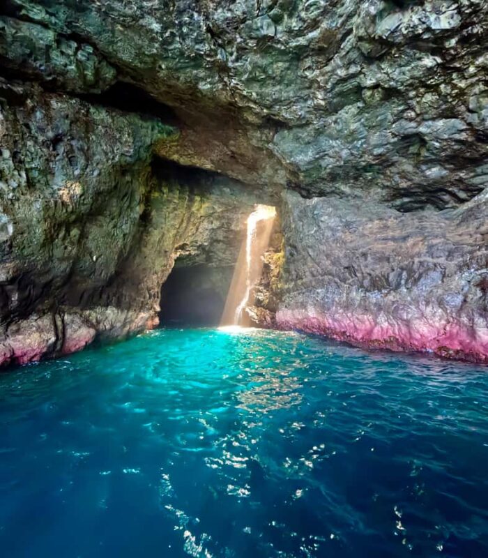 Waimea: N Pali Coast Zodiac Raft Sea Caves + Snorkel - Wildlife and Marine Life Sightings