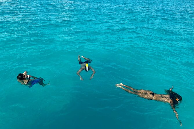 Wake Surfing Lessons & Snorkeling - #1 Experience in Cancun 4hr - Luxurious Boat Ride with the MasterCraft X-Star