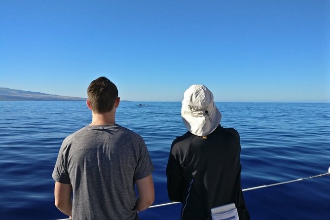 Wake Up With the Whales Cruise from Anaeho'omalu Bay - The Experience: Guaranteed Sightings and Close Encounters