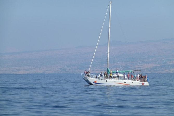 Wake Up With the Whales Cruise from Anaeho'omalu Bay - Timing and Pacing: Early Morning for Better Visibility