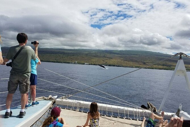 Wake up with the Whales Cruise from Kawaihae Harbor - Physical Requirements and Accessibility