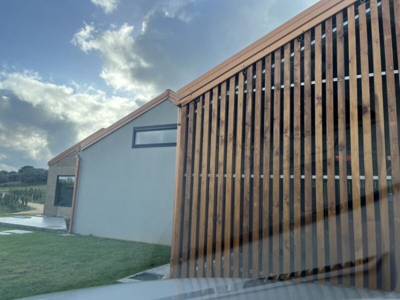 Walk among the rows of vineyards and wine tasting - Explore Sicilian Vineyards and Organic Wine Tasting at Barbadoro