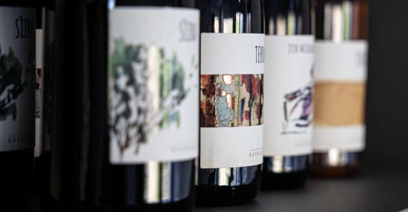 Walk among the rows of vineyards and wine tasting - Discover the Vineyards and Organic Wine Varieties