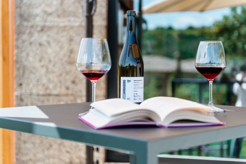 Walk among the rows of vineyards and wine tasting - Experience the Flavors of Sicily’s Organic Cuisine