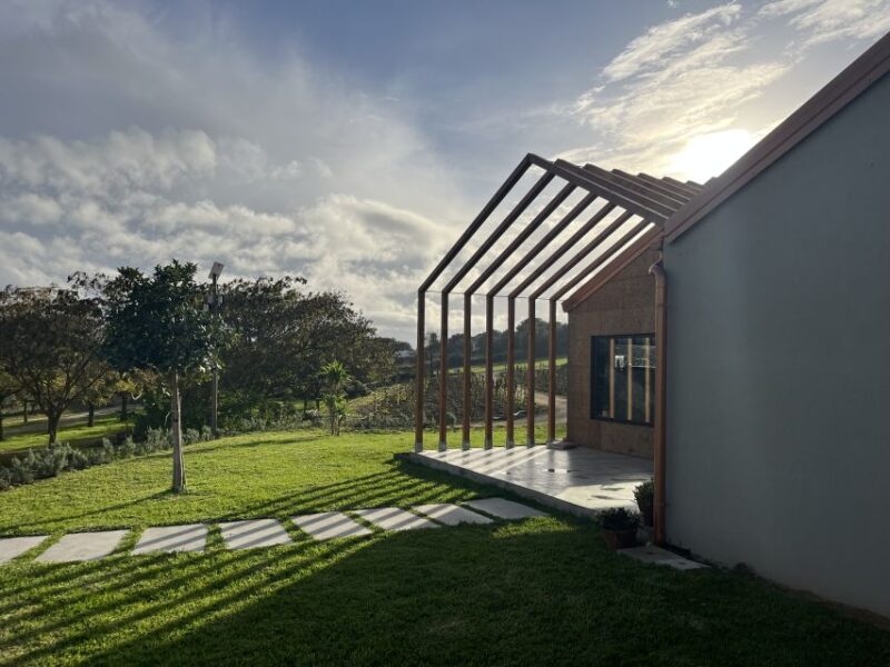 Walk among the rows of vineyards and wine tasting - The Guide’s Passion and Knowledge