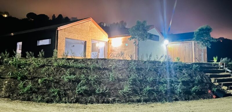 Walk among the rows of vineyards and wine tasting - Value and Booking Flexibility