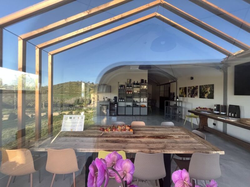 Walk among the rows of vineyards and wine tasting - Final Thoughts on the Barrel of Authenticity and Relaxation