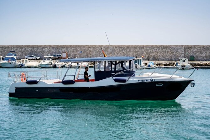 Walk and dolphin watching in Fuengirola + 1 drink - Spacious Boat Designed for Comfort in Fuengirola