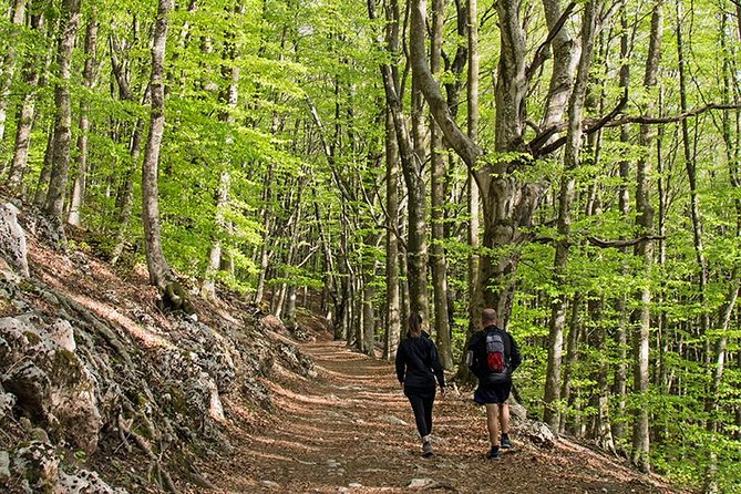 Walk around Faito Mountain, the Highest Point of the Amalfi Coast and Sorrento Peninsula - Visiting Mount Molar: The Highest Peak in the Range