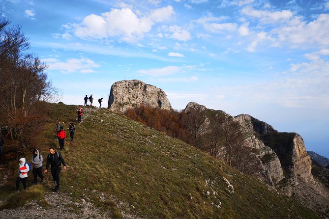 Walk around Faito Mountain, the Highest Point of the Amalfi Coast and Sorrento Peninsula - Forest Walks and Botanical Highlights