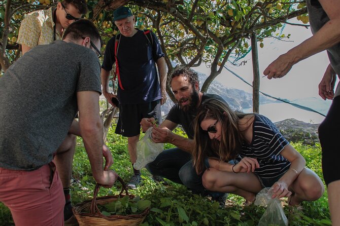 Walk, Cook and Eat on the Amalfi Coast - The Guides: Knowledgeable, Passionate, and Approachable