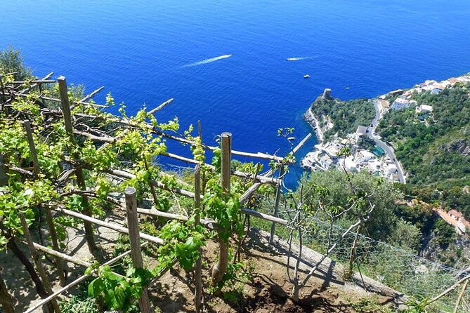 Walk, Cook and Eat on the Amalfi Coast - Cancellation Policy and Booking Tips
