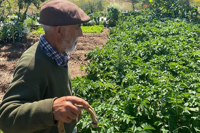 Walk in the Hills with Goat Herder-Local Honey, Wine and Cheese Tasting - Practical Details and Booking Information