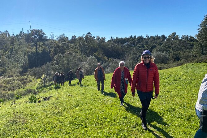 Walk in the Hills with Goat Herder-Local Honey, Wine and Cheese Tasting - The Perfect Fit for Cultural Enthusiasts and Nature Lovers
