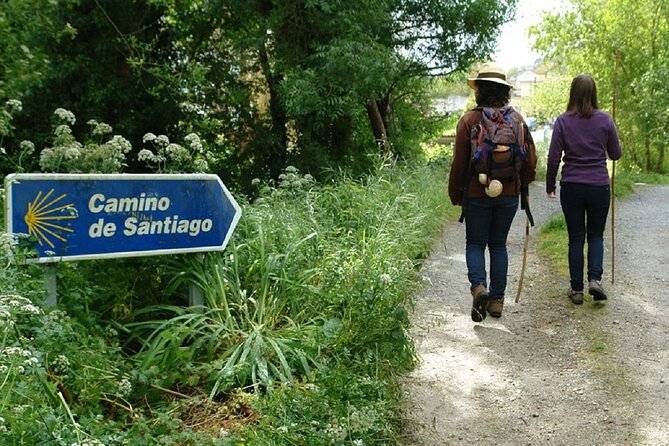 Walk The Camino&Santiago de Compostela Private SHORE Tour - Whats Included and Whats Not