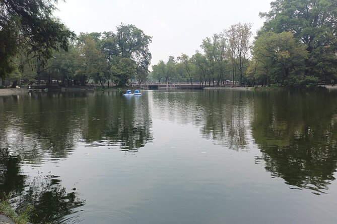 Walk through Chapultepec Park and its archaeological area - Key Points