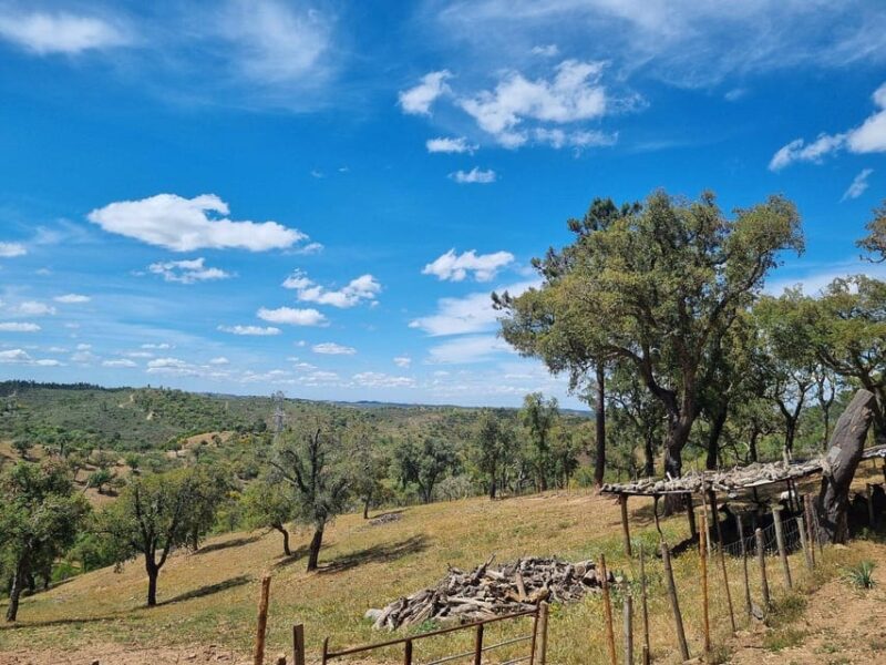 Walk through Hills With a Local Goat Herder and Their Goats - Meet the Goat Herder and Learn Farming Traditions