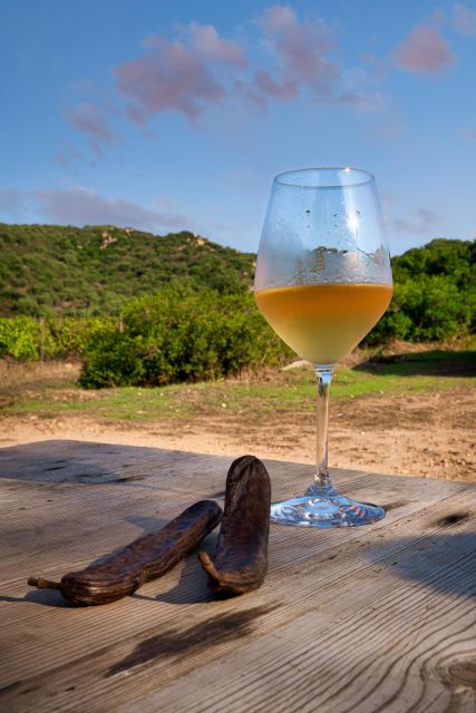 Walk through our vineyard and aperitif - Tasting Organic Wines and Liquors Under the Ancient Carob Tree