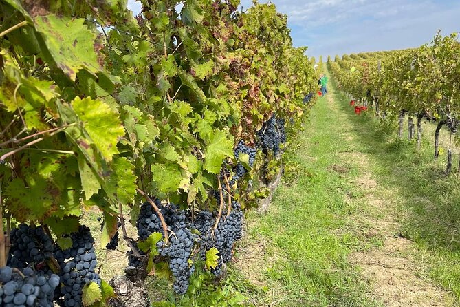 Walk through Spoletos historic center & lunch with Chef Stefano - Starting Point in the Heart of Spoleto