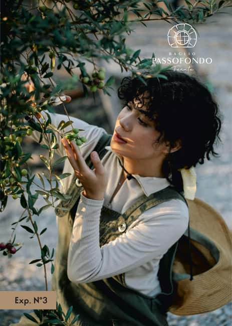 Walk through the olive grove and tasting - Key Points