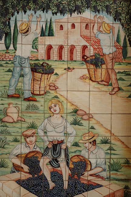 Walk through the olive grove and tasting - Tasting Local Wines at the Estate