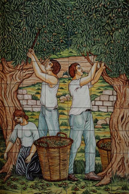 Walk through the olive grove and tasting - Why This Tour Stands Out in Sicily