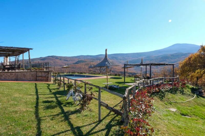 Walk through the vineyard with tasting - Tuscan Picnic with Local Specialties and Organic Wines