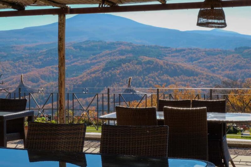 Walk through the vineyard with tasting - Experience the Heart of Tuscany’s Organic Wine Culture