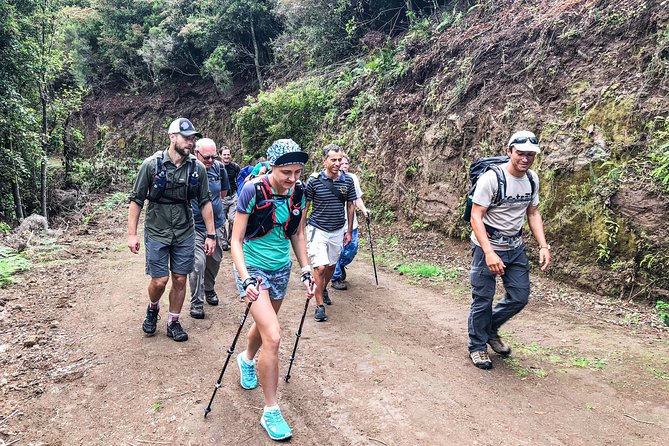 Walk with a local - Key Points