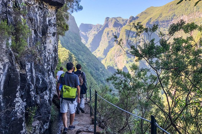 Walk with a local - Discover Madeira’s Ancient Endemic Forests