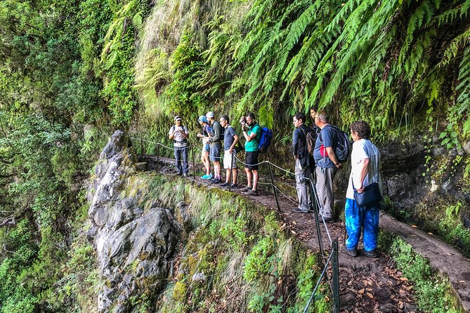 Walk with a local - Caldeirão Verde Levada: Forest, Waterfalls, and Tunnel Adventure