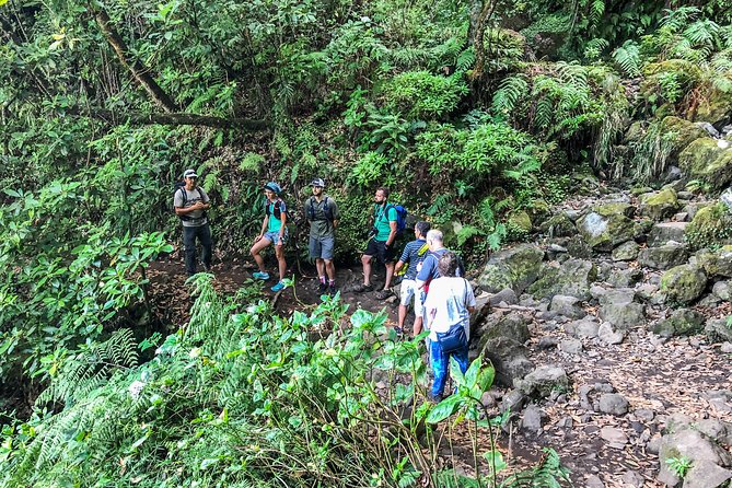 Walk with a local - Shorter but Scenic: Levada do Rei and Ponta São Lourenço