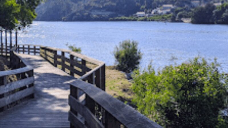 Walk with strangers - Douro Landscapes - Exploring the Douro River walk for 1.5 hours